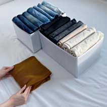 칸칸이 옷 정리함 바지 속옷 의류 보관함 펜트리 옷장수납방법, 소형, 화이트