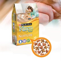 아기고양이 전용사료 임신중사료 키튼 프로플랜캣