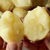 수미감자 감자 10kg 왕특사이즈, 상세페이지 참조, 상세페이지 참조