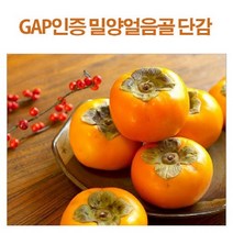 참과일 GAP인증 얼음골 단감, 1박스, 36~40과