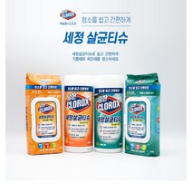 유한 세정 살균 소독 알콜 클로락스 향균물 소독용 알코올 세균 향균 소독용 티슈, 유한 세정살균티슈 캡형 60매 오렌지퓨전