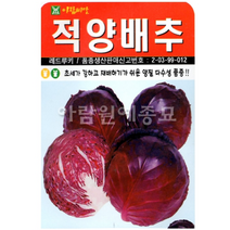 재배가 쉬운 적양배추 씨앗(100립)(A0357)