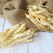 친환경팔도 금산 황금농장 홍삼용 세척 난발삼원삼 700g 인삼/한차재료>>인삼/수삼, 세척원삼(홍삼용)소700g/12-15뿌리” class=”wr-img”></a></div>
</div>
</div>
</div>
<div class=