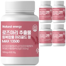 웰핏 로즈마리 추출물, 60정, 5박스