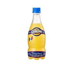 롯데오랑지나 420ml x 6PET, 12개