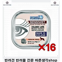 웰시코기사료추천 입원한 강아지원기회복시키는간식코카스파니엘사료