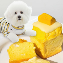 강아지 생일 애견 간식 단호박 치즈 파운드 빵 케이크, 단호박 치츠파운드 3개