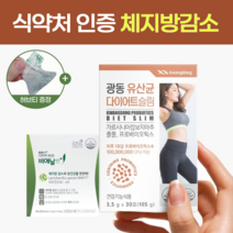 모유 유래 유산균 bnr17 다이어트 분말 가루 파우더 가르시니아 모유유산균 락토바실러스가세리 비엔알17 프로바이오틱스 lgg rgg 식약처인증 정품, 유산균다이어트슬림 3통(3개월)