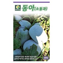 적오크라 50립 - 씨 씨앗 황추규 오크라씨앗 오크라씨 채소씨 채소씨앗 별모양고추 고추씨 적오크라씨앗, 20_다농_동아(소동과)(30립)