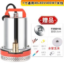 전동차 V24V 직류 잠복해 있다 O 펌프 48V60V 배터리 양수기 가정용 농용 선박용 우물이다 2523261583, 1인치 4860V400W 7미선 스텐