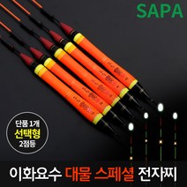 이화 요수 대물 스페셜 2점등 민물 전자 낚시 찌, 녹색 42cm
