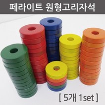 5P 페라이트 초등과학 실험 원형 고리자석 실험도구 자기력 유도 자석실험 기자재 자기 제작 학교 N극