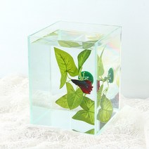 버티칼 리프 베타 침대 - 베타키우기 인공수초, 단품