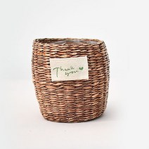 실내공기정화식물 율마 아레카야자 스킨답서스 산세베리아 테이블야자 유칼립투스 이레카야자 페페 스투키 몬스테라, 추가구성, 30.thank you 라탄바구니 베이지