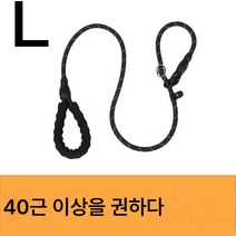 비웅견 전용 견인끈 강아지끈 방폭펀치체인산책견탈출방지 대소형견줄 묶기, 색깔4, 로프 길이 [2 M]