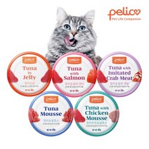 펠리코 고양이 간식캔 95g *24개, 캣 참치순살 캔 95g*24개