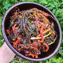 [왕언니반찬가게] 건강에 좋은 고들빼기 무침 김치 1kg 단샘김치, 고들빼기김치1kg