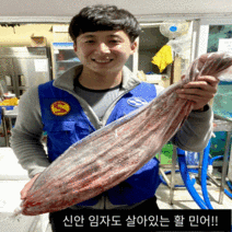신안 임자도 지도 자연산 민어 회 (3~10kg), 9kg, 회접시
