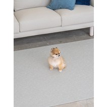 [러그140x180cm] 4장 디팡 소형견 중대형견 펫플레이 강아지매트 미끄럼방지 4mm, 시크크리미 4장, 4mm 러그(소형견용)