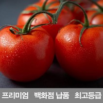 영화청과 국내산 토마토 2kg 프리미엄 백화점 남품 요리 즙 키우기 재배