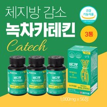카테킨 녹차추출물 체지방컷팅제 뱃살 다이어트보조제 catechin 체지방분해 녹차유래