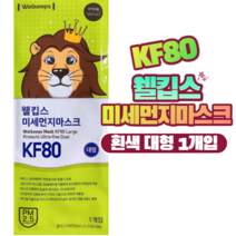 웰킵스 미세먼지마스크 KF80 대형, 25장