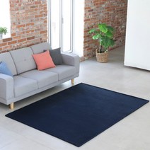 소프트 러그 사계절 거실 카페트 단모 사각 러그