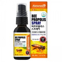 네추럴 프로폴리스 스프레이 목에뿌리는 약 비염에좋은 영양제 만성 염증 오랄 몸속 제거, 30ml(1개월분)