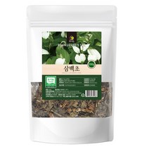 유기농 국산 삼백초 200g 청성초 삼백초효능 차 폐에좋은음식 비염 추출물 잎 뿌리