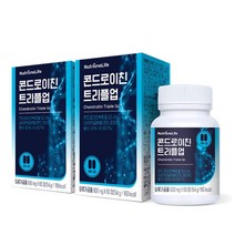 뉴트리원 상어연골콘드로이친 트리플업 칼슘 마그네슘 비타민D 900mg x 60정x 2박스, 1개, 기본