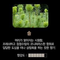 센테이션 메탈 아이원 차량용 방향제 향리필 스틱 디퓨저, 솔향 리필