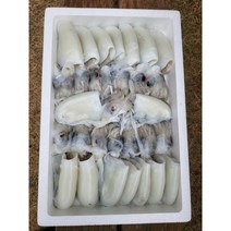 제철 냉동 손질 갑오징어 1kg