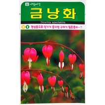 금낭화 꽃씨앗 20립