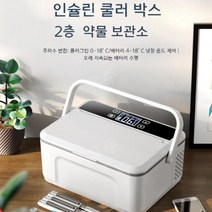 유주글로벌 백신 인슐린냉장고 주사보관함 이동식당뇨 미니저온, 2중선물형 듀얼배터리