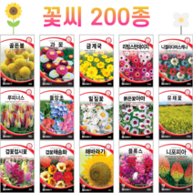 꽃씨 모음 노지 월동 야생화 봄파종 다년생 채송화 패랭이 코스모스 데이지 백일홍 다알리아 제라늄 꽃씨앗, 76. 테디베어해바라기 30립 [일]
