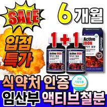 식약처 인증 캐나다 직수입 철분 중년여성 60대 철분보충제 캡슐 식약청 인정 추석 명절 선물 수유부 캐나다산 청소년 철분제 산소운반 헤모글로빈 임신전 부모님 선물 프리미엄 혈액생성, 100캡슐, 2개