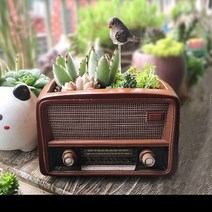 모양 다유기 리톱스 인테리어 동물 특이한 라디오 화분 트리옵스 선인장 홈 아악무 테이블, 작다, 연한 색 라디오에 고기 4알과 작은 새