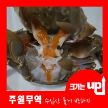 주원무역 신선한 수입산 냉동 돌게 박하지 10KG, (대)10kg 110~115미 전후