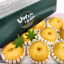 [프리미엄] 직접키운 나주배 신고배 가정용 선물용 5kg 7.5kg 당도선별, 가정용 나주배 7.5kg (11-12과)