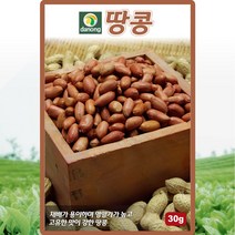 땅콩 씨앗 땅콩 씨 종자 30g