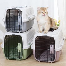 강아지 고양이 켄넬 케이지 이동가방 애견 이동장 더블도어 캐리어 기내용 항공, 그레이(M)