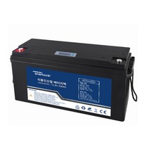 리튬인산철 배터리팩 12.8V 200Ah LiFePO4 Battery 연(납)축전지 대체 EB-FE4S200Ah, 1개, 1개입