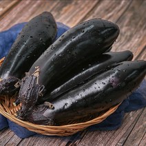 빛고을장터 국내산 통통한 가지 5kg 2kg 1.5kg내외, 1BOX, 02_가지 2kg내외
