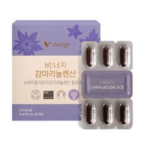 비너지 감마리놀렌산 보라지꽃 달맞이꽃 종자유 1BOX, 2박스