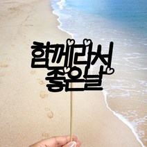 빅토리아데코 새해토퍼 크리스마스 신혼 가족 여행토퍼 피켓 투명 부채토퍼 케이크토퍼 메세지픽 제작, 1개, 여행토퍼_A-307-1-함께라서좋은날