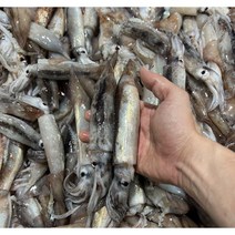 100% 국내산 동해안 생물 잡자마자 급냉한 통찜용 오징어 500g+500g 총 2팩, 1개, 500g 4팩