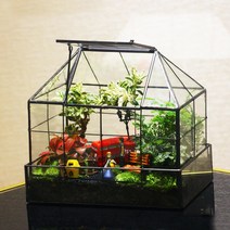 테라리움 키트 글래스 하우스 이끼테라리움 만들기 DIY 비바리움, 유망한미래(자재팩조립)