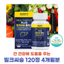 식약처 인증 간 지방간 간수치 간기능 개선 도움 에 좋은 몸이 피로가 많을 때 먹는 독일산 밀크씨슬 영양제 약 2개월분, 2통(4개월분)_사은품패치증정