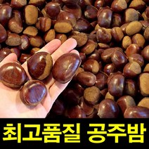 밤효능 약단밤 햇공주밤 1KG 칼집X 밤 밤삶는법 군밤