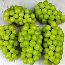 국내산 샤인머스켓 망고포도 씨적은 고당도 가정용 선물용 1kg 2kg